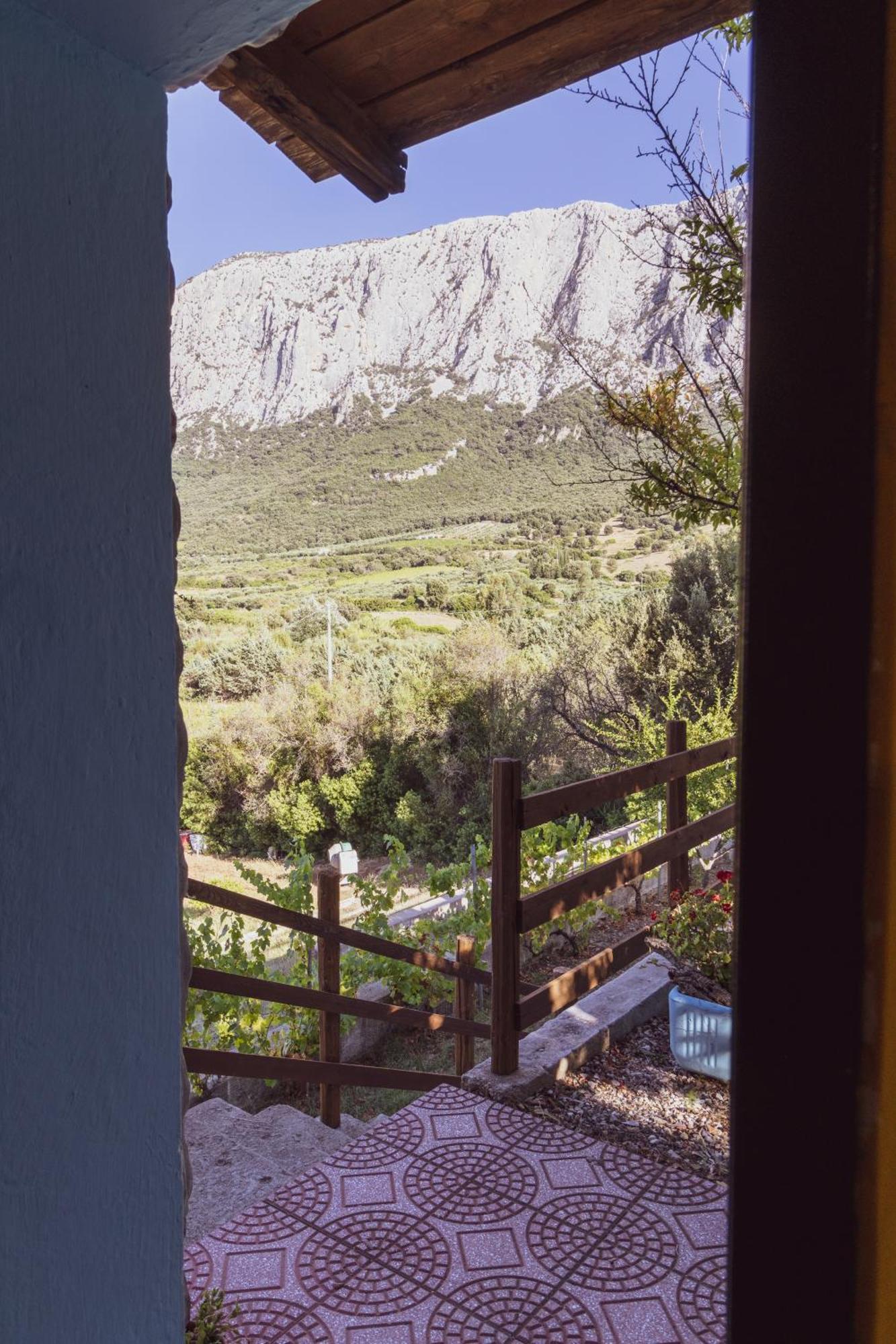 Villa Panoramic House Oliena Exterior foto