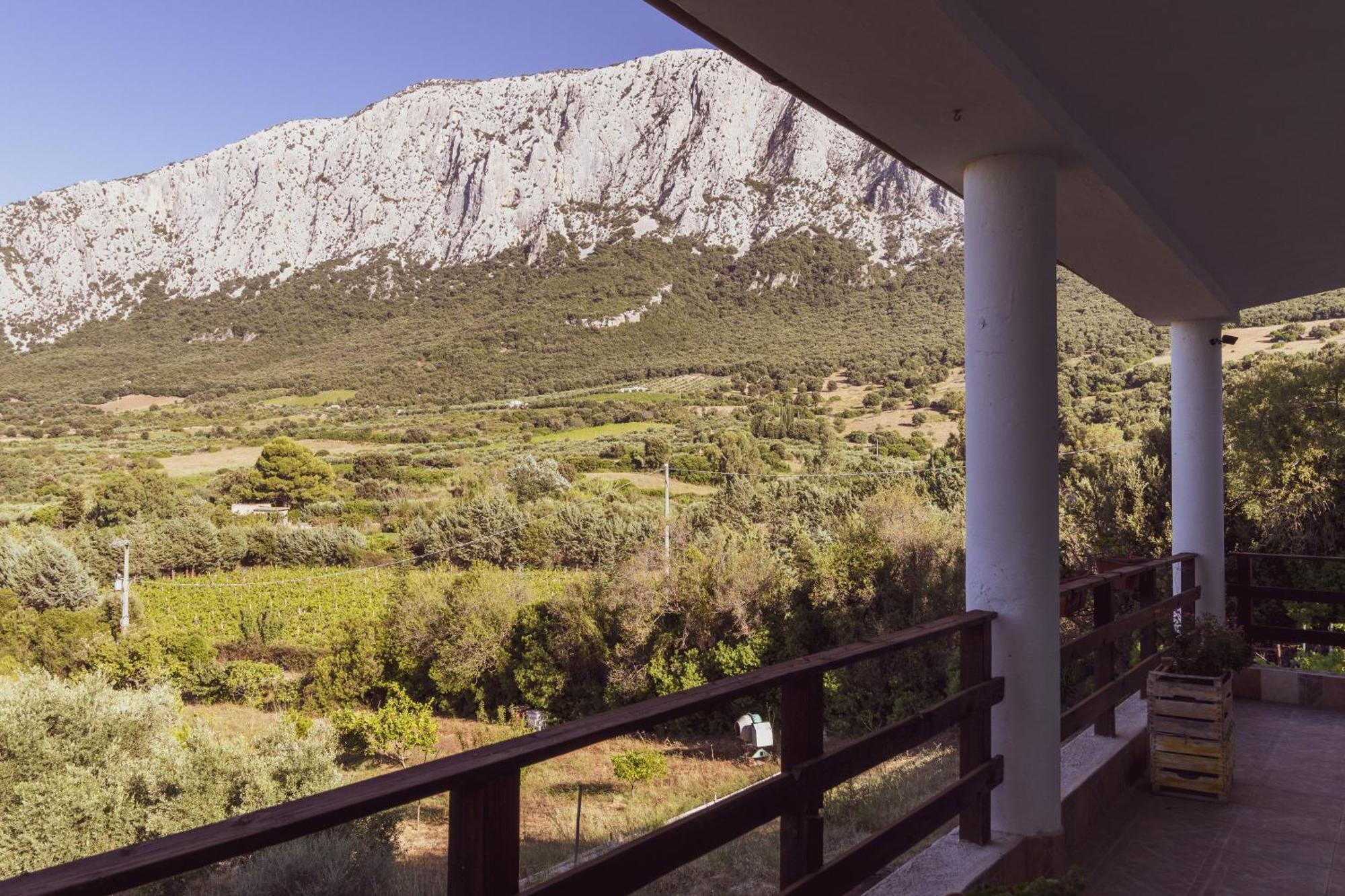 Villa Panoramic House Oliena Exterior foto