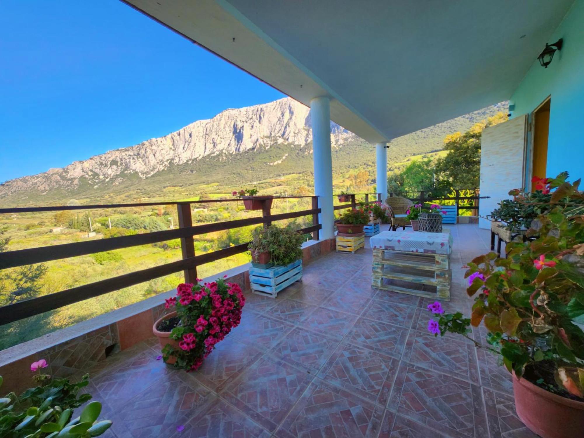 Villa Panoramic House Oliena Exterior foto