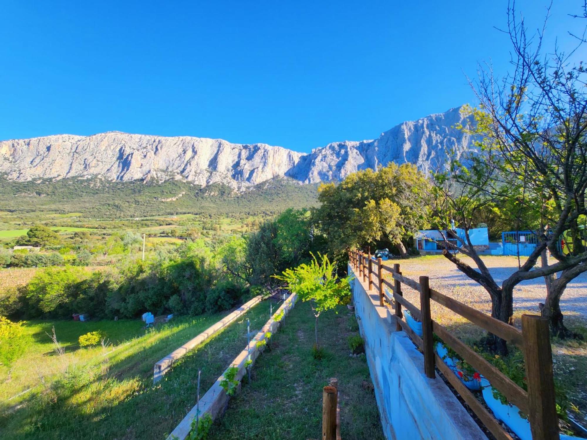 Villa Panoramic House Oliena Exterior foto