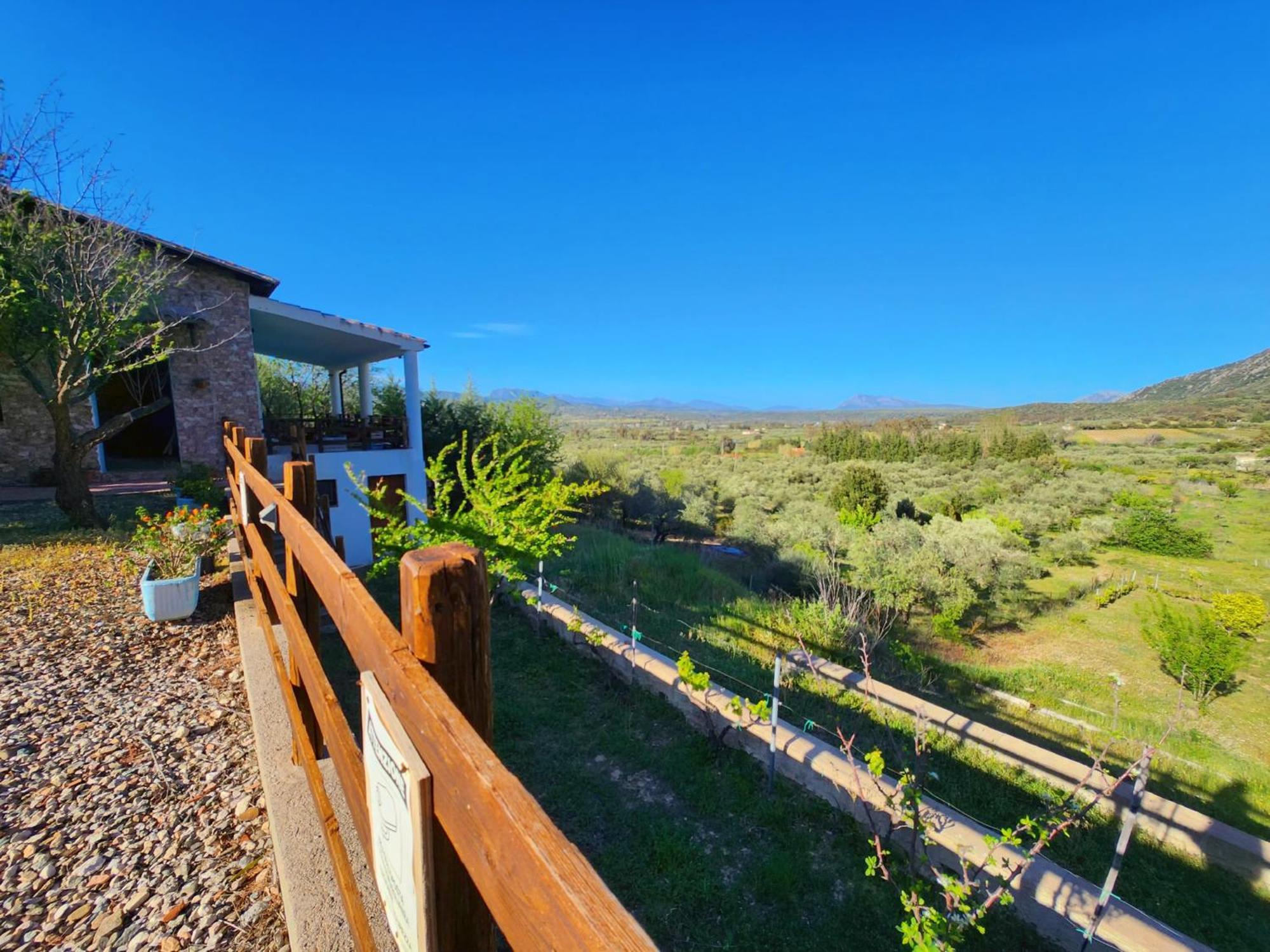 Villa Panoramic House Oliena Exterior foto