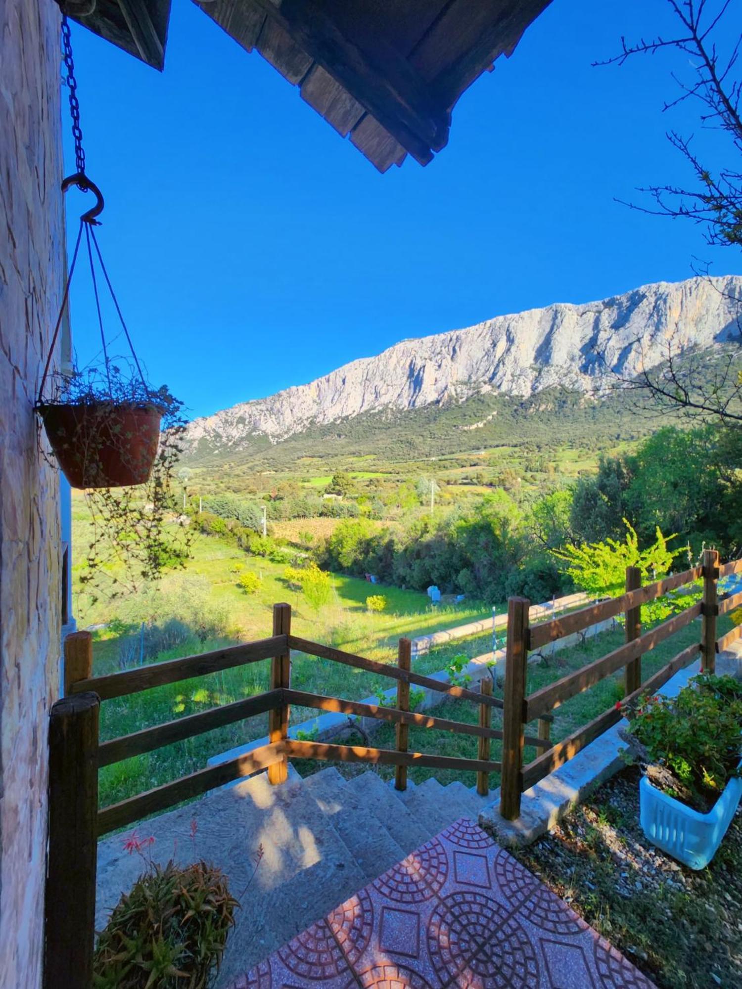 Villa Panoramic House Oliena Exterior foto