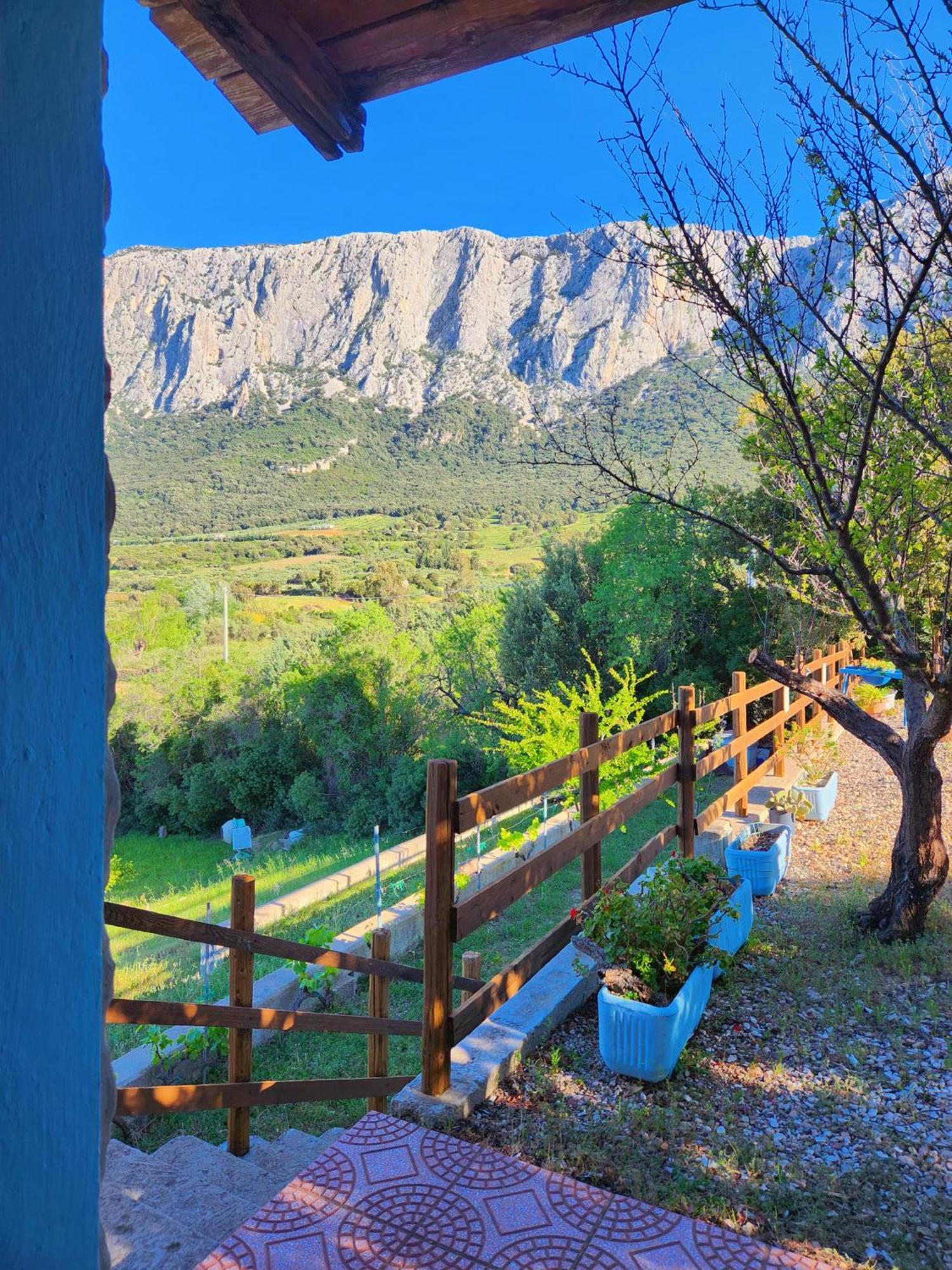 Villa Panoramic House Oliena Exterior foto