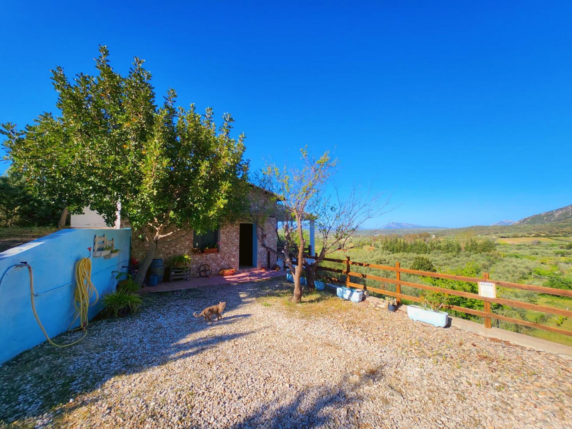Villa Panoramic House Oliena Exterior foto